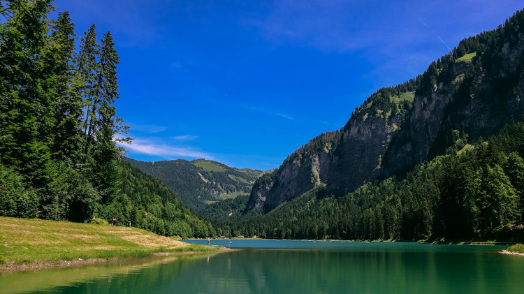 多參數水質分析儀