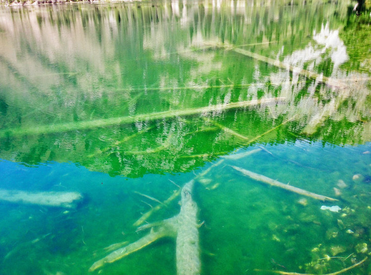 多參數(shù)分析儀 多參數(shù)分析儀