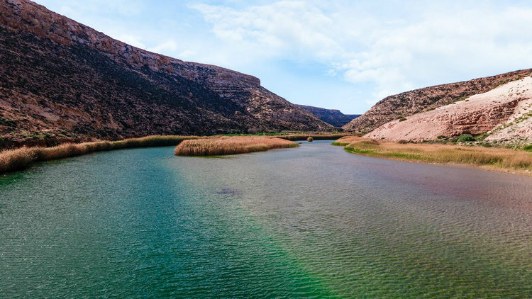 水質分析儀 水質分析儀