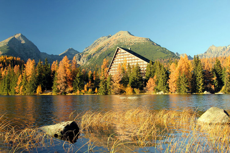 水質(zhì)檢測儀 水質(zhì)檢測儀